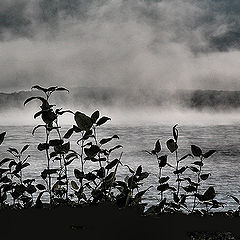 фото "fog burns off Georgian Bay"