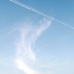 photo "Writing in the Sky"