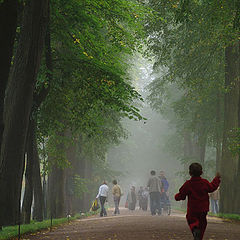 фото "Аллея туманов"