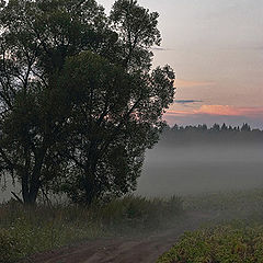 фото "Alone in the Mist 3"