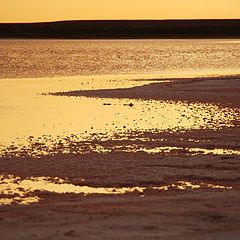 photo "Saline soil on a decline, Kizil Khum desert, Uzbek"