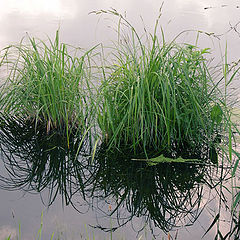 photo "Untitled photo"