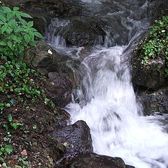 photo "The Small Waterfall"