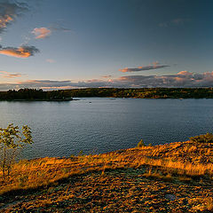 photo "At the End of The Summer Day"