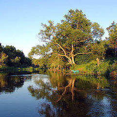 photo "Calm evening"