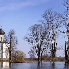 фото "Храм Покрова на Нерли"