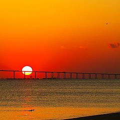 фото "Sunrise Over the Bridge"