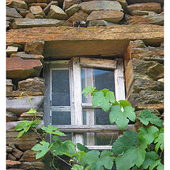 photo "the shale window"