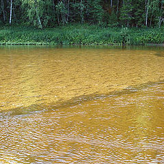 фото "Желтая река."