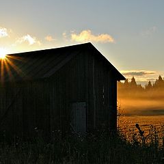 photo "Misty morning"