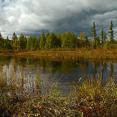 фото "Звводь"