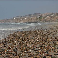 фото "" Pebbles On The Beach "."