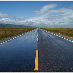 photo "road"