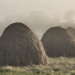 фото "Сенокосная пора"