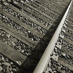 photo "The Tracks"