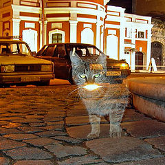 photo "Night phantoms of Saint Petersburg."