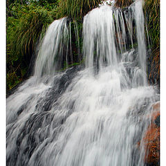 photo "Water running"