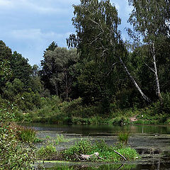 photo "Beavers live there..."