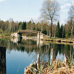 фото "Дикое Царство"