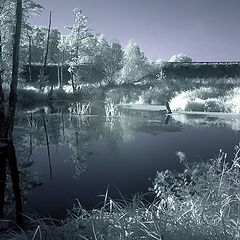 photo "Evening at the river"