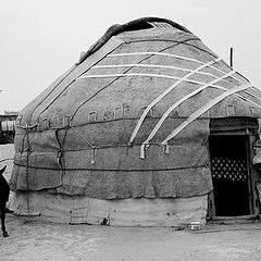 photo "People of desert, Uzbekistan 2"