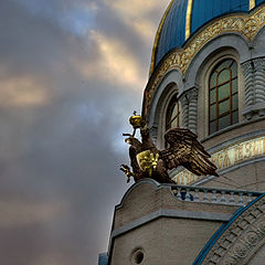 photo "Eagle"