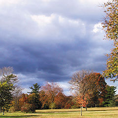 фото "Color of Fall"