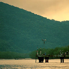 photo "The pier"