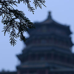 photo "china series"