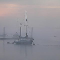 фото "Misty morning ..."