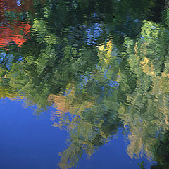 фото "Fall Reflection"