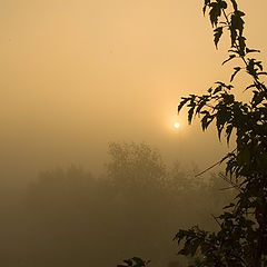 photo "at dawn: Japan in Siberia"