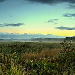 фото "Morning light"