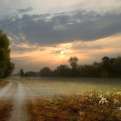 photo "On a dawn"