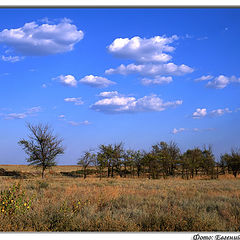 photo "Astrakhanskaia steppe"