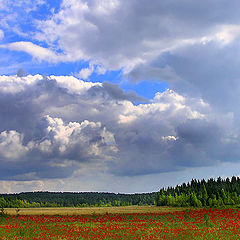 photo "September near Tver city..."