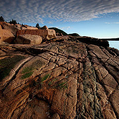 фото "Acadia Rocks!"