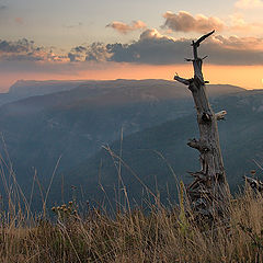 photo "After sunset"