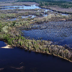 photo "Above small rivers of Siberia"