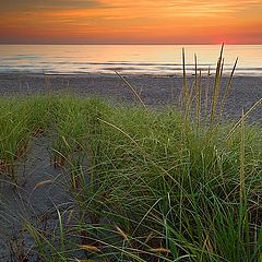 photo "Oh, That Beaches in September"