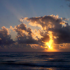 photo "La Madrugada Marina"