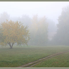 фото "Утро"