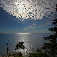 фото "Soft Light on Otter Point (Acadia)"