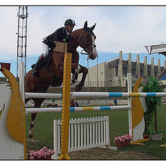 photo "equestrian"