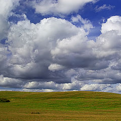 photo "Simple field"