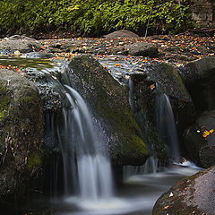 photo "Leaves fall... Water falls..."