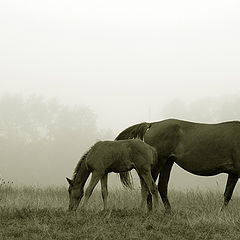 фото "Mother and Son"