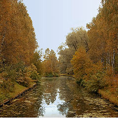 фото "Палитра осени"