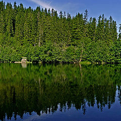 photo "Water reflections"