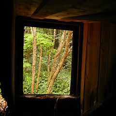 photo "Secret Window"